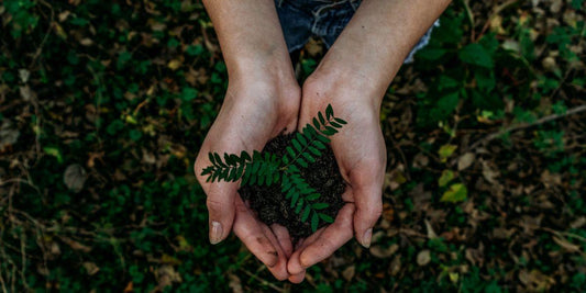 Handen houden jonge plant met aarde, duurzaam en natuurlijk